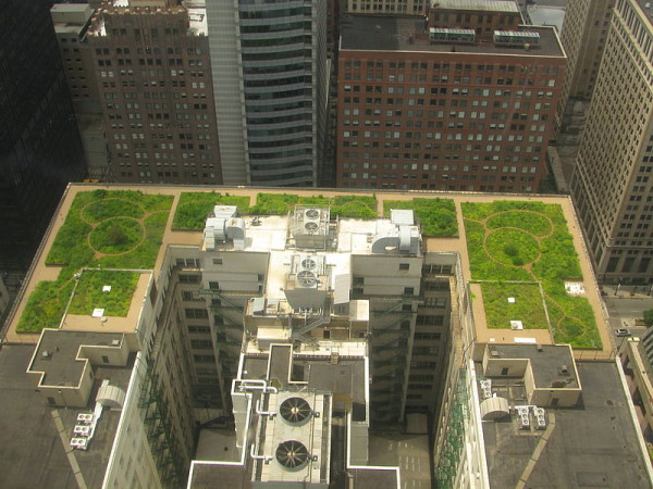 green_roofs_5