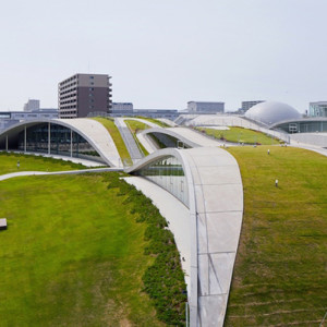 The Skyline of Tomorrow: Green Roof Architecture